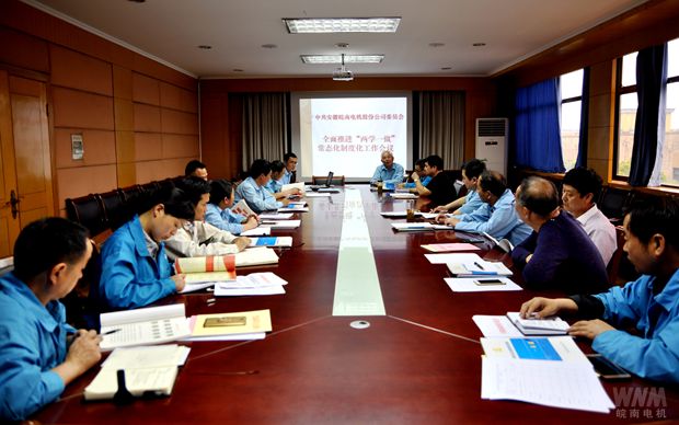 皖南电机党委召开支部书记会议 皖南电机党委召开支部书记会议